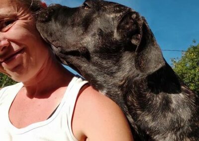 Cane Corso Portée Penny x Getro 26.02.2021