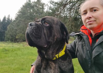 Cane Corso Portée Penny x Getro 26.02.2021