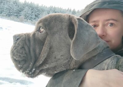 Cane Corso Portée du 31/12/2022 Ruby x Getro